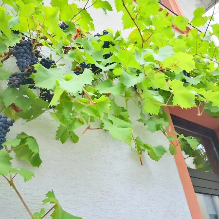 Bernkasteler Ferienhaus Graach