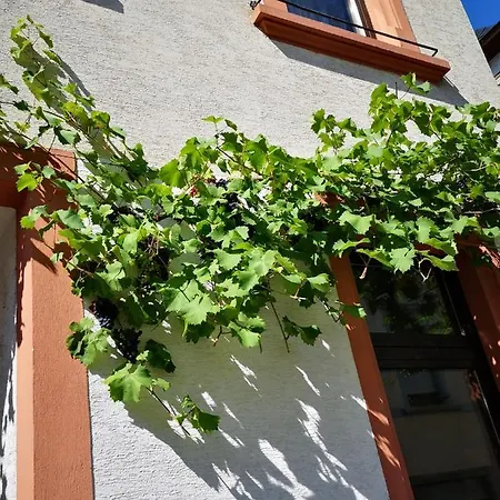 Ferienhaus Bernkasteler Ferienhaus *